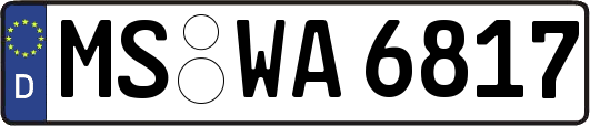 MS-WA6817