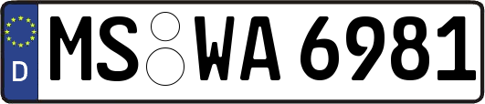 MS-WA6981