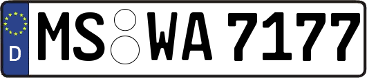 MS-WA7177