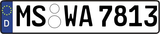 MS-WA7813