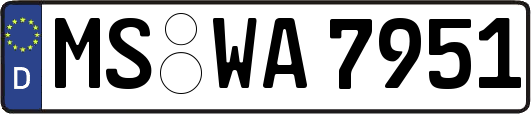 MS-WA7951