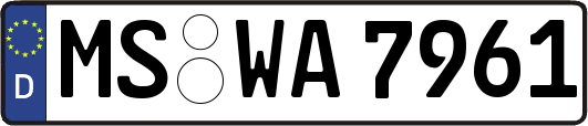 MS-WA7961