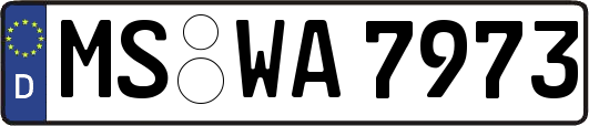 MS-WA7973