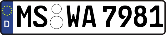 MS-WA7981