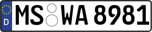 MS-WA8981