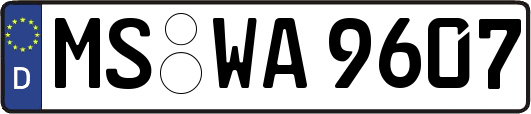 MS-WA9607
