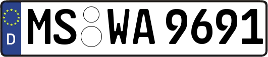 MS-WA9691