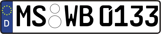 MS-WB0133