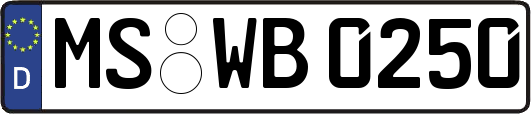 MS-WB0250