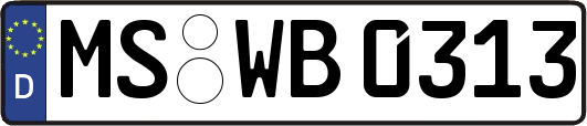 MS-WB0313