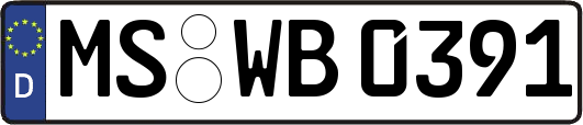 MS-WB0391