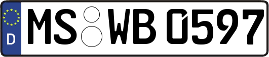 MS-WB0597