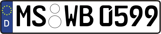 MS-WB0599