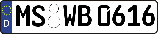 MS-WB0616
