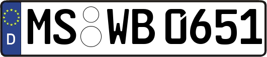 MS-WB0651