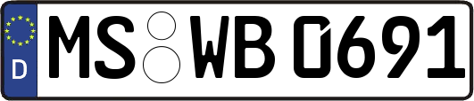 MS-WB0691