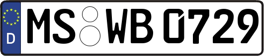 MS-WB0729