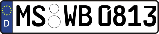 MS-WB0813