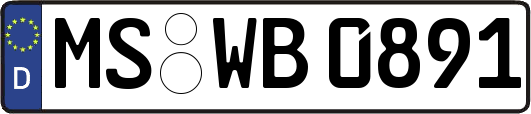 MS-WB0891