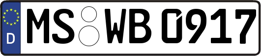 MS-WB0917