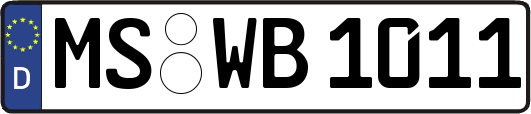MS-WB1011