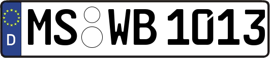 MS-WB1013
