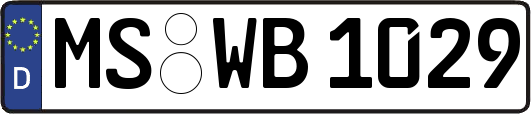 MS-WB1029