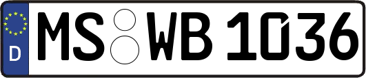 MS-WB1036