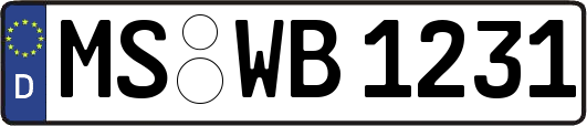MS-WB1231