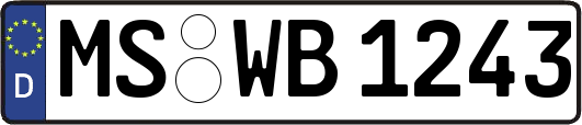 MS-WB1243