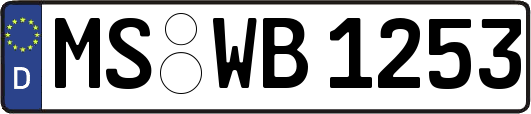 MS-WB1253