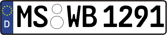 MS-WB1291