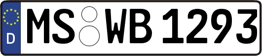 MS-WB1293