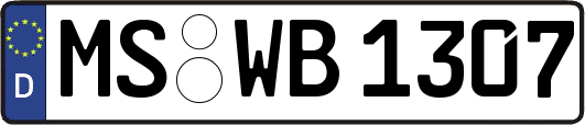MS-WB1307