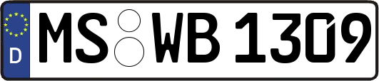 MS-WB1309