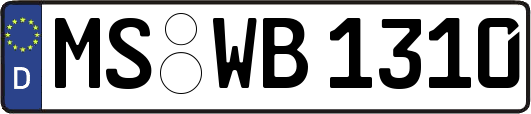 MS-WB1310