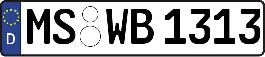 MS-WB1313