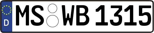 MS-WB1315