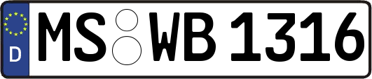 MS-WB1316