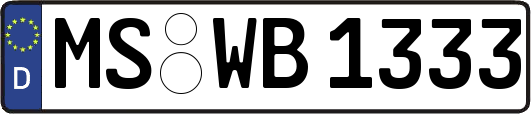 MS-WB1333
