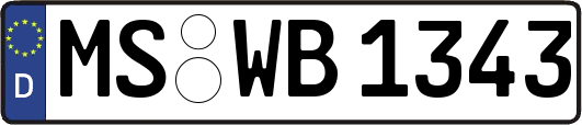 MS-WB1343
