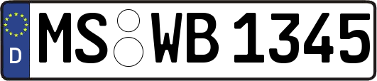 MS-WB1345