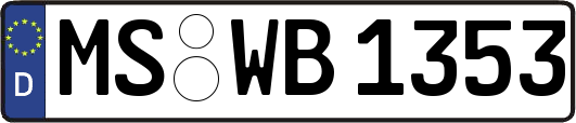 MS-WB1353