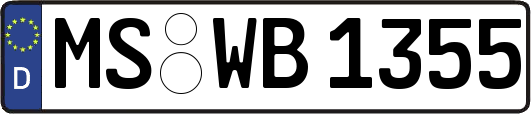 MS-WB1355