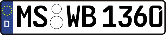MS-WB1360
