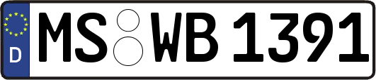 MS-WB1391