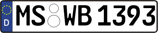 MS-WB1393