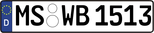 MS-WB1513