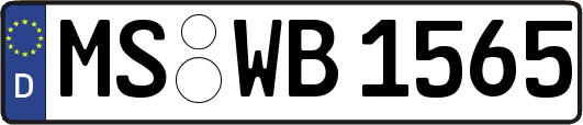 MS-WB1565