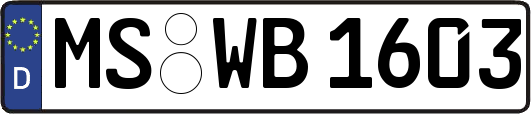 MS-WB1603